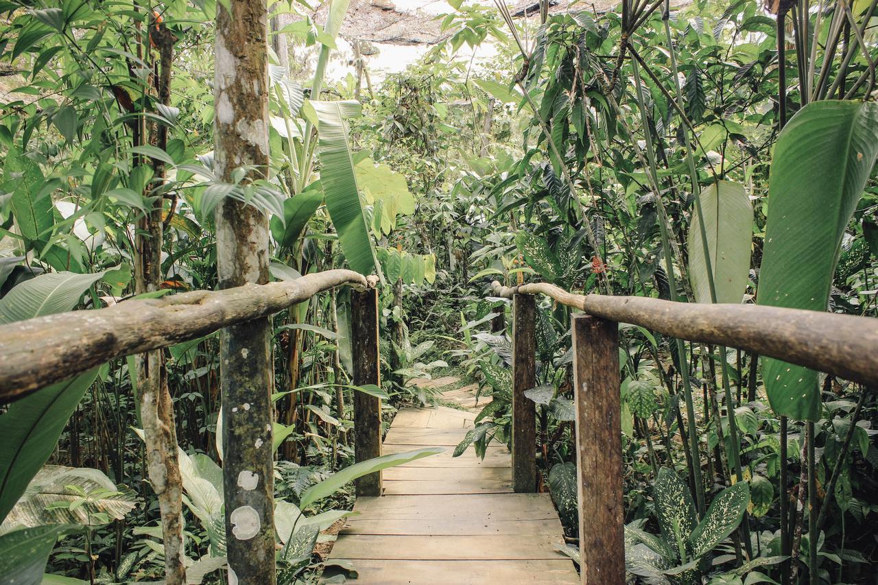 Libertad Jungle Lodge Yucuruche Extérieur photo